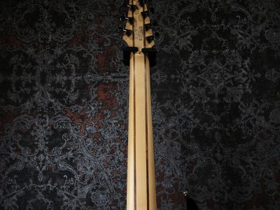 Ibanez RGIR28FE Black