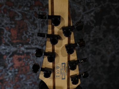 Ibanez RGIR28FE Black