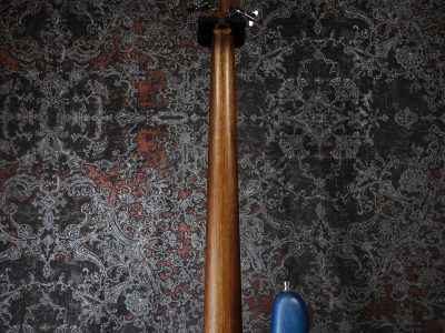 Warwick Team Build PS Streamer LX 5 Ocean Blue Transparent Satin