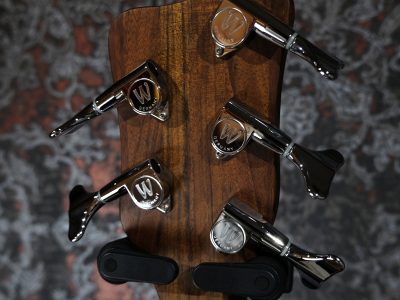 Warwick Team Build PS Streamer LX 5 Ocean Blue Transparent Satin