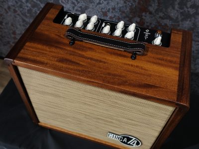 Taylor Circa 74 Acoustic Guitar & Vocal Amplifier / Mahogany with Stand