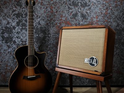 Taylor Circa 74 Acoustic Guitar & Vocal Amplifier / Mahogany with Stand