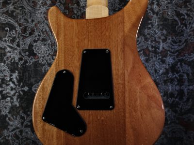 Paul Reed Smith(PRS) 2023 SE Custom 24 Faded Blue
