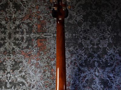 LTD EC-1000FM Amber Sunburst