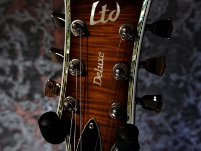 LTD EC-1000FM Amber Sunburst