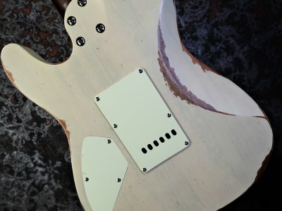 Bacchus TACTICS24-AGED OWH-AGED