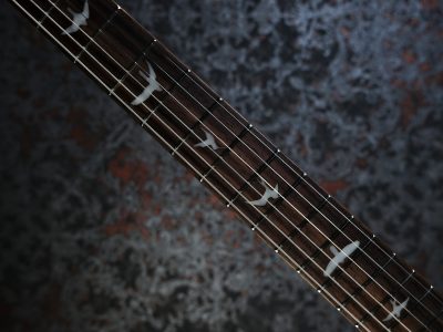 Paul Reed Smith 2024 SE Custom 24 Blue Fade