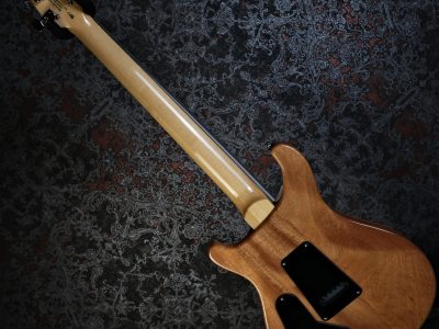 Paul Reed Smith 2024 SE Custom 24 Blue Fade