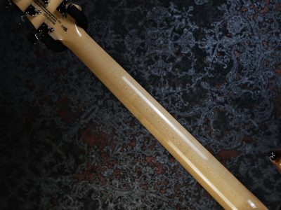 Paul Reed Smith 2024 SE Custom 24 Blue Fade