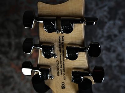 Paul Reed Smith 2024 SE Custom 24 Blue Fade