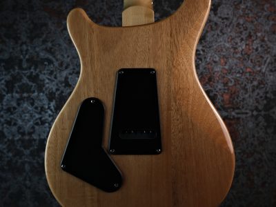 Paul Reed Smith 2024 SE Custom 24 Blue Matteo Natural Back