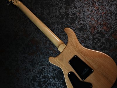 Paul Reed Smith 2024 SE Custom 24 Blue Matteo Natural Back