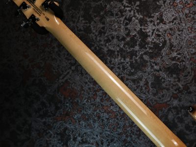 Paul Reed Smith 2024 SE Custom 24 Blue Matteo Natural Back