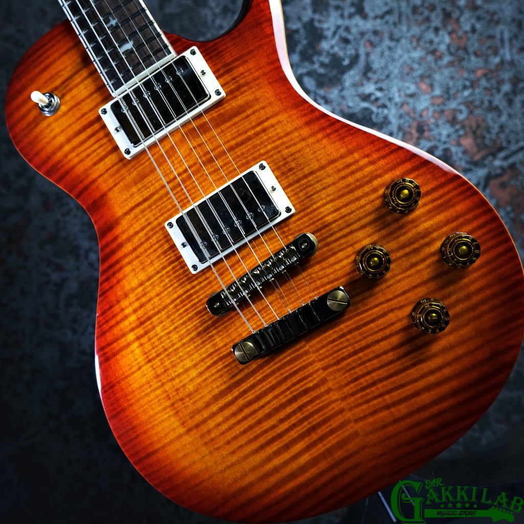 Paul Reed Smith(PRS) 2024 SE McCarty 594 Singlecut Vintage