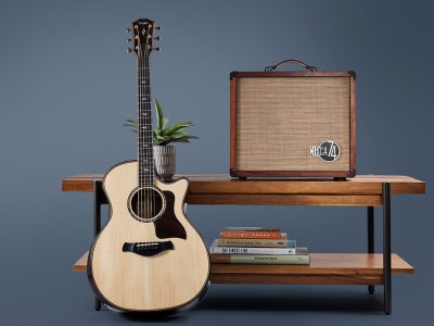 Taylor Circa 74 Acoustic Guitar & Vocal Amplifier / Mahogany with Stand