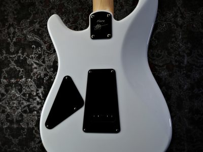 Paul Reed Smith 2024 Fiore Mark Lettieri Signature Model