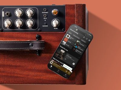 Taylor Circa 74 Acoustic Guitar & Vocal Amplifier / Mahogany with Stand