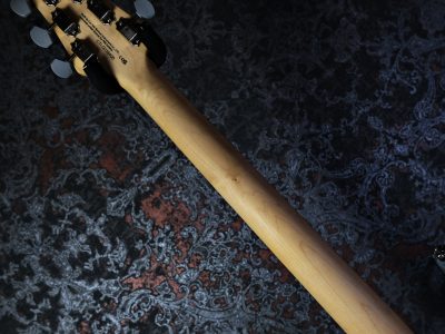 PRS 2024 SE Silver Sky Rosewood Storm Gray