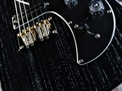 PRS 2025 SE NF 53 Black Doghair