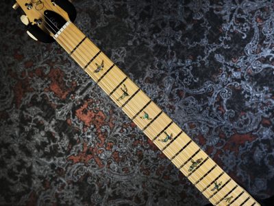 PRS 2025 SE NF 53 Black Doghair