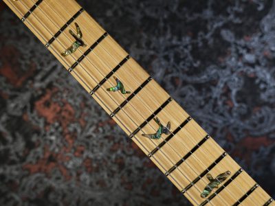 PRS 2025 SE NF 53 Black Doghair