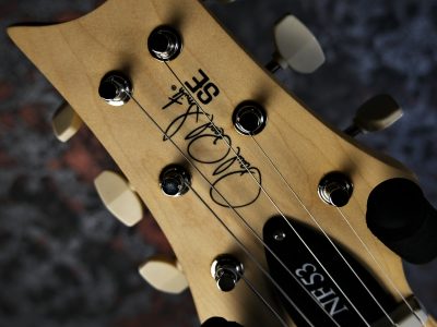 PRS 2025 SE NF 53 Black Doghair