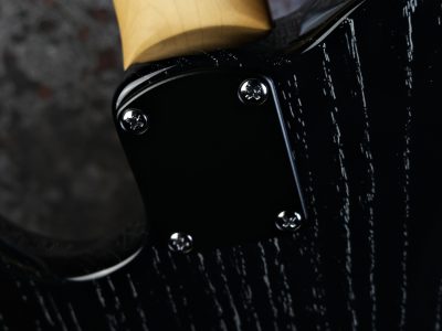 PRS 2025 SE NF 53 Black Doghair