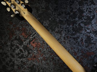 PRS 2025 SE NF 53 Black Doghair