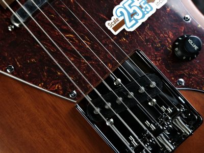 Bacchus WINDY-BREAKER/RSM Brown Satin