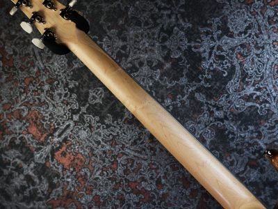 Paul Reed Smith(PRS) 2025 CE 24 Carroll Blue