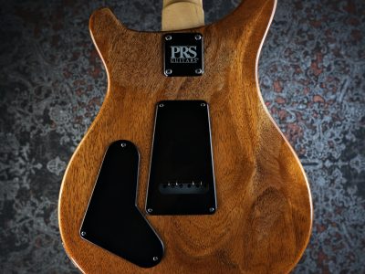 PRS 2025 CE 22 Limited Edition Carroll Blue