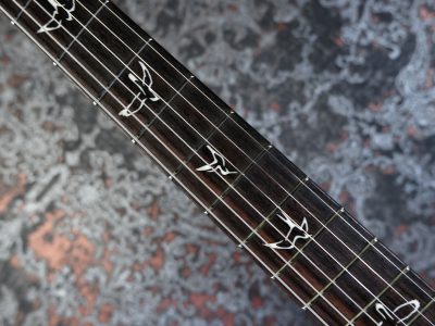 PRS 2025 CE 22 Limited Edition Carroll Blue