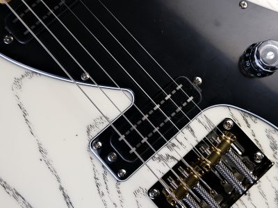 PRS 2025 SE NF 53 White Doghair