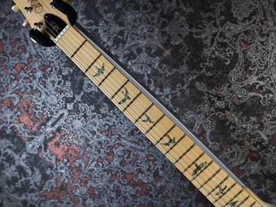 PRS 2025 SE NF 53 White Doghair