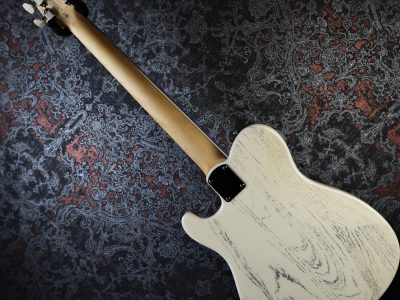 PRS 2025 SE NF 53 White Doghair