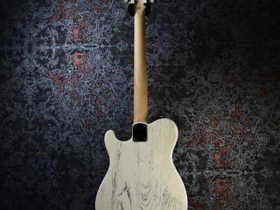 PRS 2025 SE NF 53 White Doghair