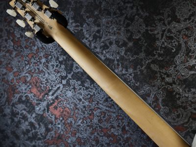 PRS 2025 SE NF 53 White Doghair