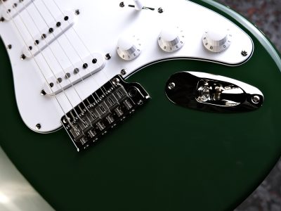 PRS 2025 SE Silver Sky Rosewood Laurel Green