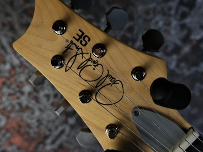 PRS 2025 SE Silver Sky Rosewood Laurel Green