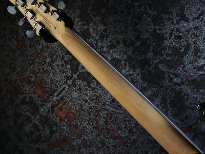 PRS 2025 SE Silver Sky Rosewood Laurel Green