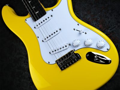 PRS 2025 SE Silver Sky Rosewood Dandy Lion