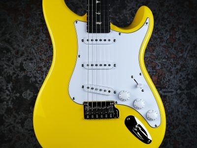 PRS 2025 SE Silver Sky Rosewood Dandy Lion