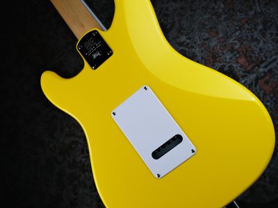 PRS 2025 SE Silver Sky Rosewood Dandy Lion