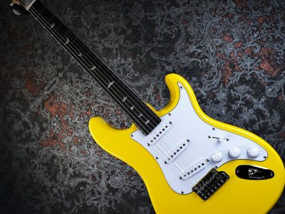 PRS 2025 SE Silver Sky Rosewood Dandy Lion