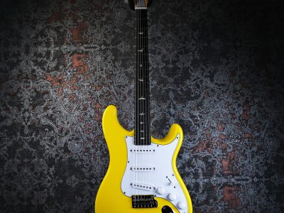 PRS 2025 SE Silver Sky Rosewood Dandy Lion