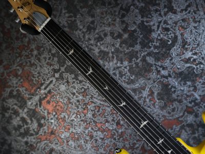 PRS 2025 SE Silver Sky Rosewood Dandy Lion