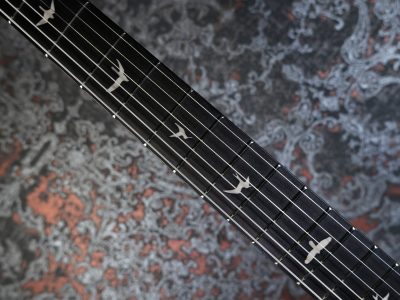 PRS 2025 SE Silver Sky Rosewood Dandy Lion