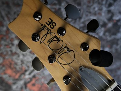 PRS 2025 SE Silver Sky Rosewood Dandy Lion