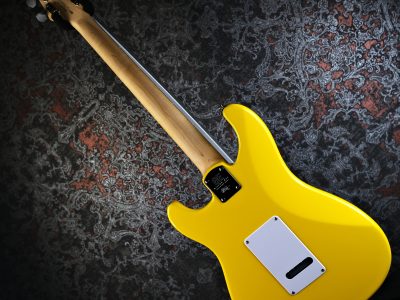 PRS 2025 SE Silver Sky Rosewood Dandy Lion