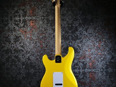 PRS 2025 SE Silver Sky Rosewood Dandy Lion